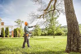 Best Tree and Shrub Care  in Stock Island, FL